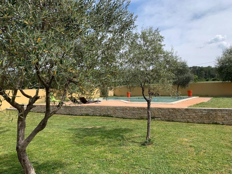Loue Studio Dans Une Villa Avec Piscine Terrasse Saint-Theodorit المظهر الخارجي الصورة